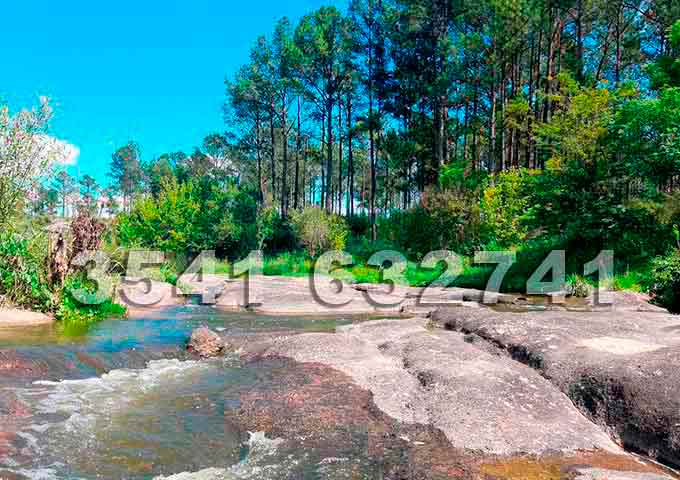 casas cerca del río