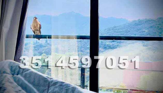 alquiler casa - Contacto con lo natural